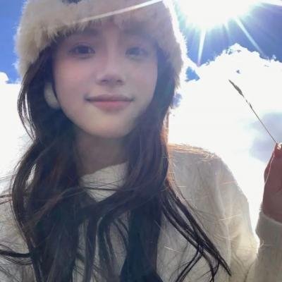 轻微盗窃案